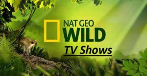 national geographic wild programme|national geographic wild shows list.